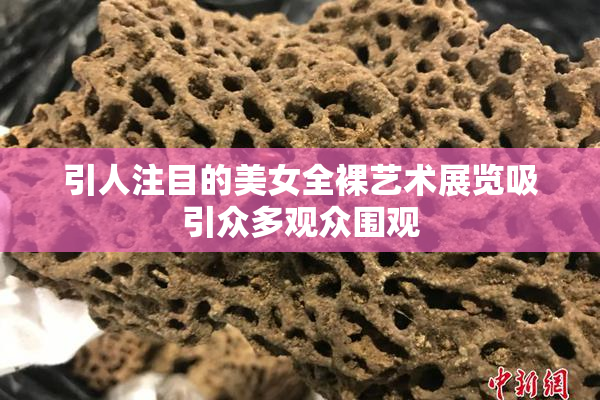 引人注目的美女全裸艺术展览吸引众多观众围观
