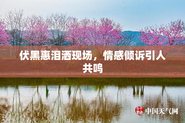 伏黑惠泪洒现场，情感倾诉引人共鸣