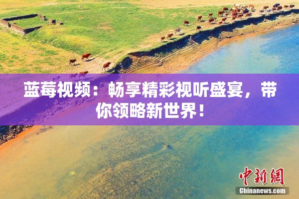 蓝莓视频：畅享精彩视听盛宴，带你领略新世界！
