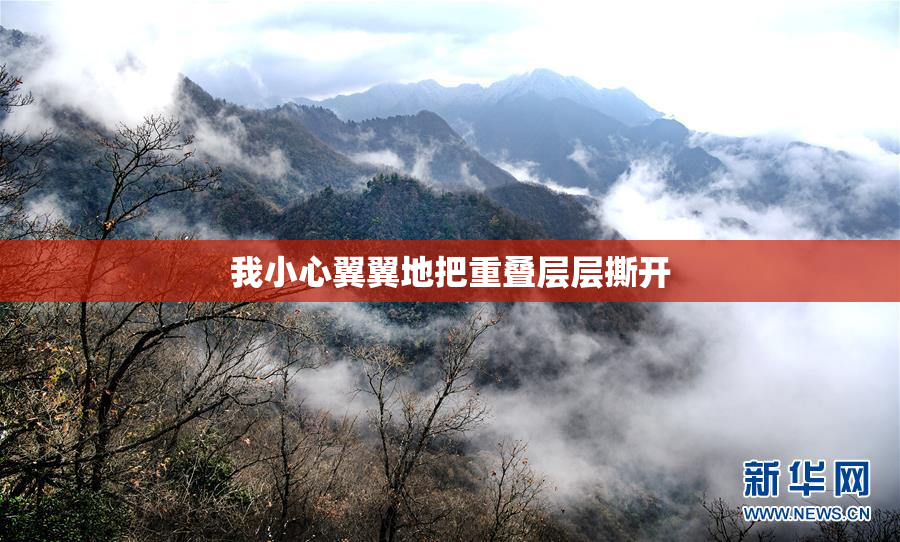 我小心翼翼地把重叠层层撕开