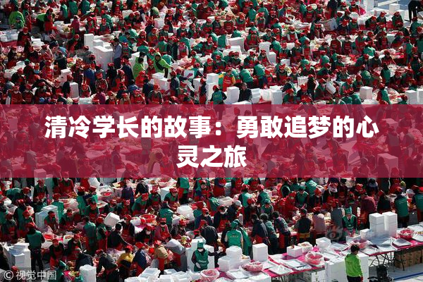 清冷学长的故事：勇敢追梦的心灵之旅