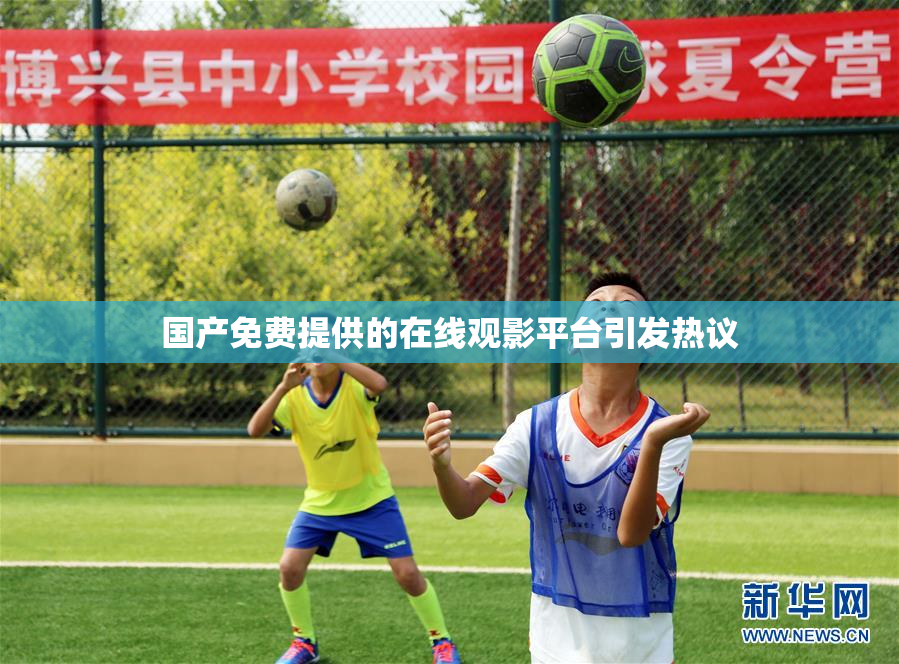 国产免费提供的在线观影平台引发热议