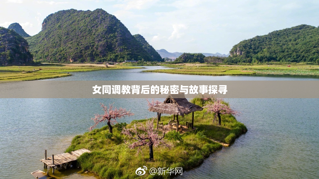 女同调教背后的秘密与故事探寻