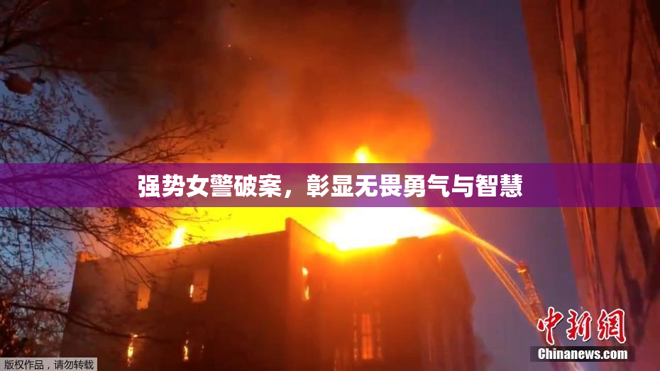 强势女警破案，彰显无畏勇气与智慧