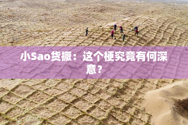 小Sao货撅：这个梗究竟有何深意？