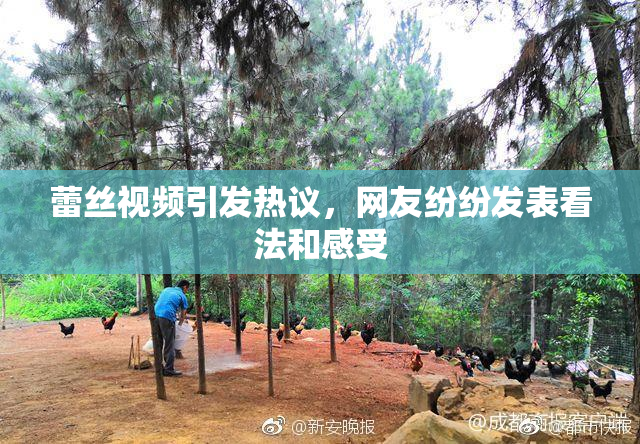 蕾丝视频引发热议，网友纷纷发表看法和感受