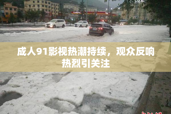 成人91影视热潮持续，观众反响热烈引关注