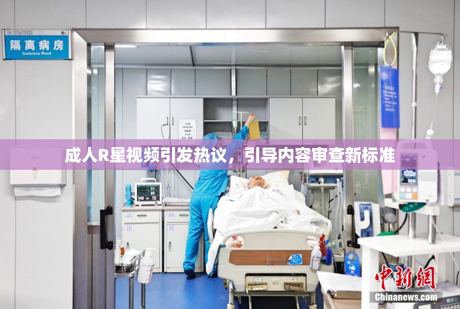 成人R星视频引发热议，引导内容审查新标准