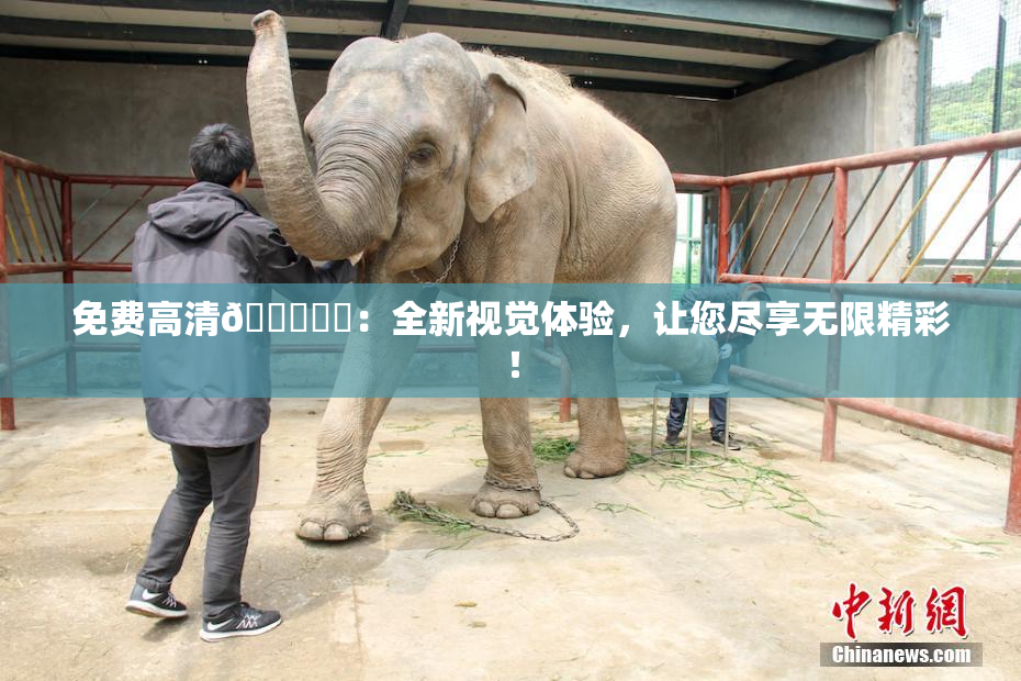 免费高清🔞❌‌：全新视觉体验，让您尽享无限精彩！