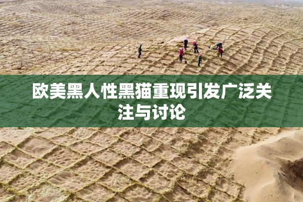 欧美黑人性黑猫重现引发广泛关注与讨论