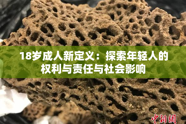 18岁成人新定义：探索年轻人的权利与责任与社会影响