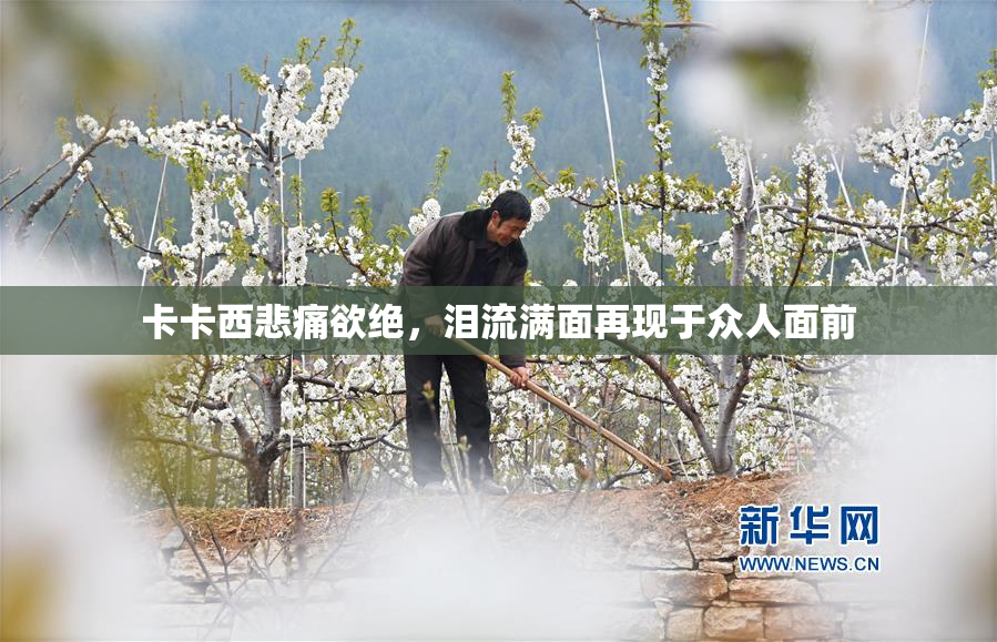 卡卡西悲痛欲绝，泪流满面再现于众人面前