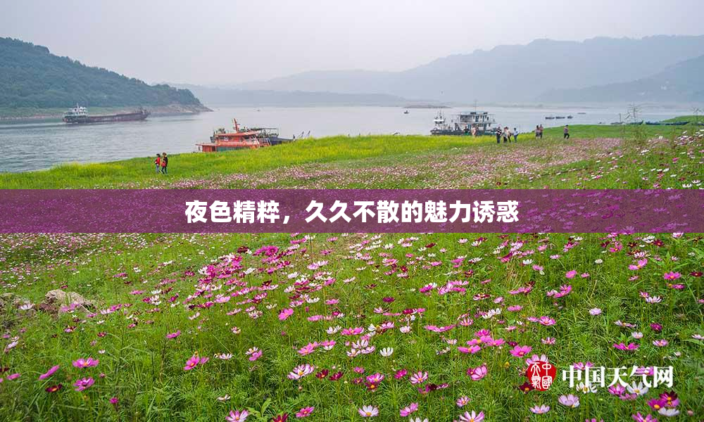 夜色精粹，久久不散的魅力诱惑