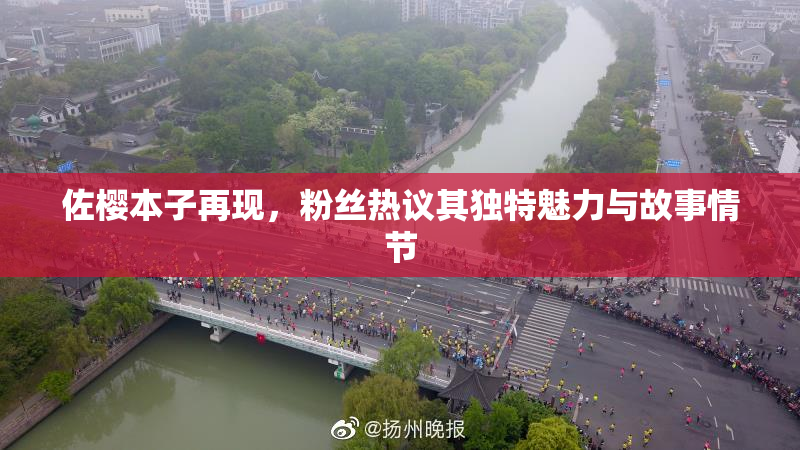佐樱本子再现，粉丝热议其独特魅力与故事情节