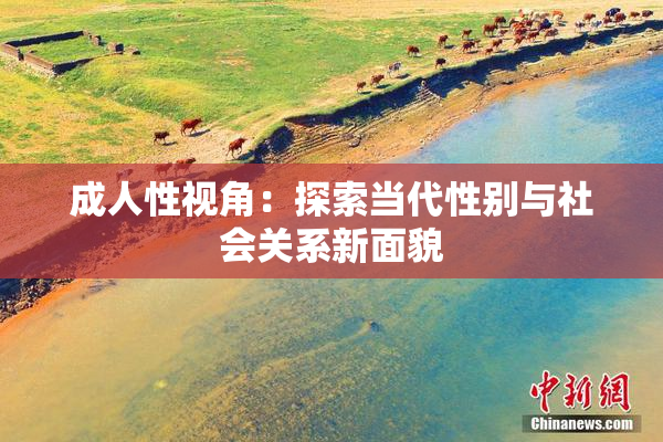成人性视角：探索当代性别与社会关系新面貌