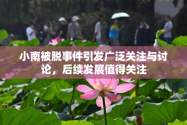 小南被脱事件引发广泛关注与讨论，后续发展值得关注