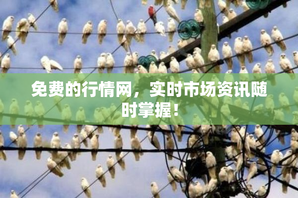 免费的行情网，实时市场资讯随时掌握！