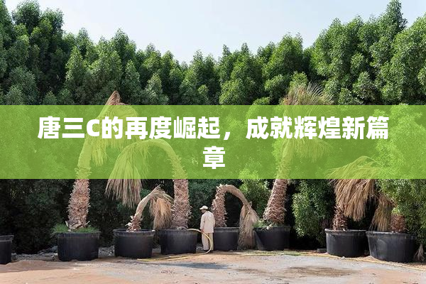 唐三C的再度崛起，成就辉煌新篇章