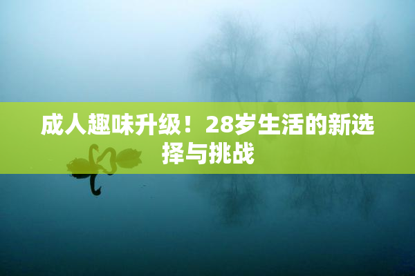 成人趣味升级！28岁生活的新选择与挑战
