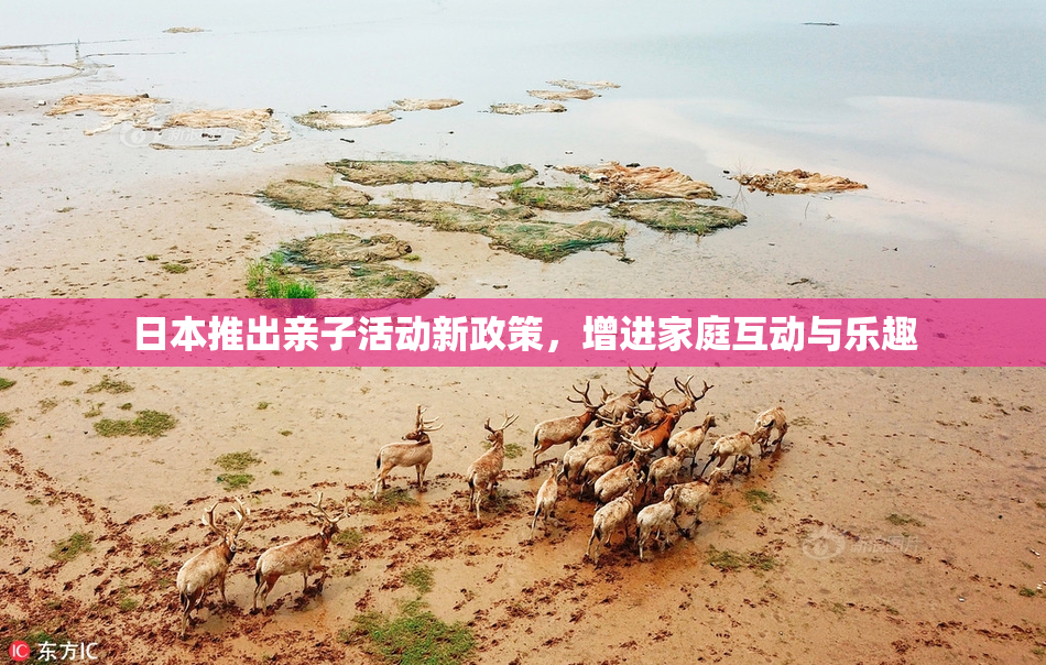 日本推出亲子活动新政策，增进家庭互动与乐趣