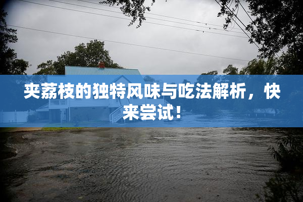 夹荔枝的独特风味与吃法解析，快来尝试！
