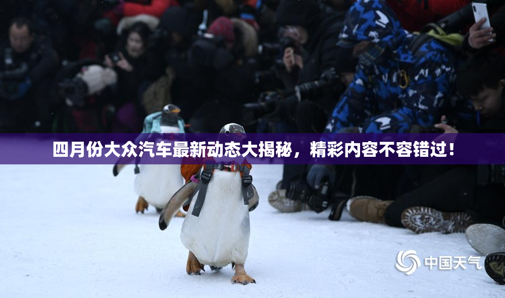 四月份大众汽车最新动态大揭秘，精彩内容不容错过！