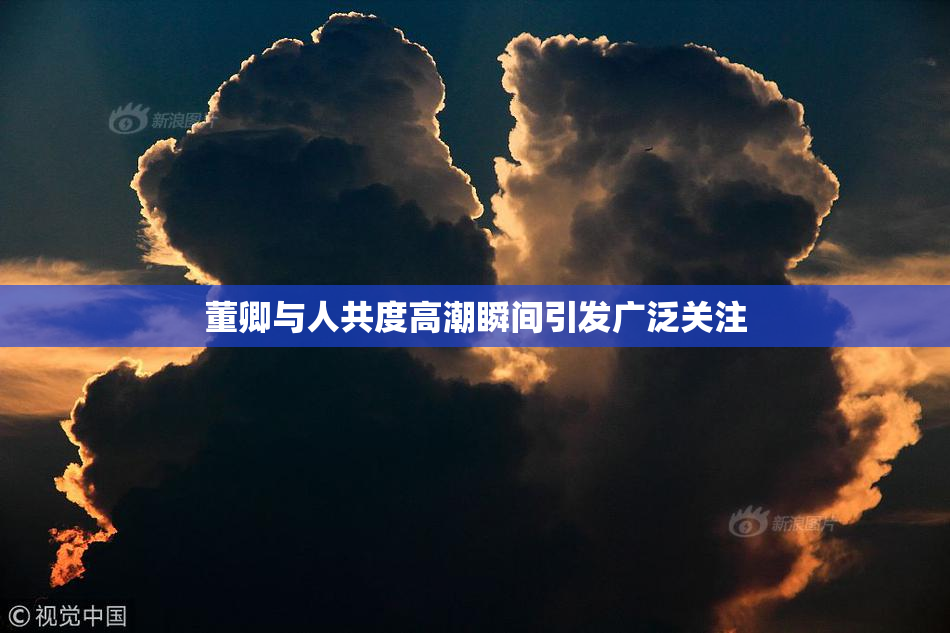 董卿与人共度高潮瞬间引发广泛关注