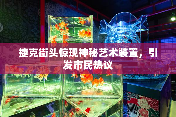 捷克街头惊现神秘艺术装置，引发市民热议