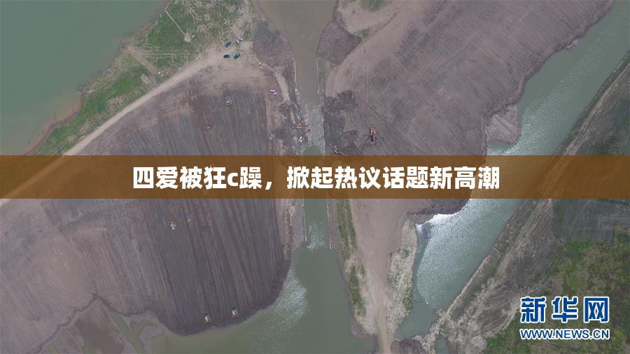 四爱被狂c躁，掀起热议话题新高潮