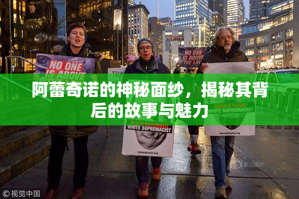 阿蕾奇诺的神秘面纱，揭秘其背后的故事与魅力