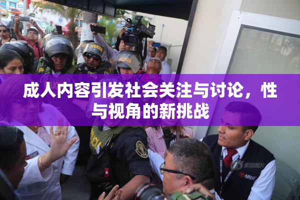 成人内容引发社会关注与讨论，性与视角的新挑战