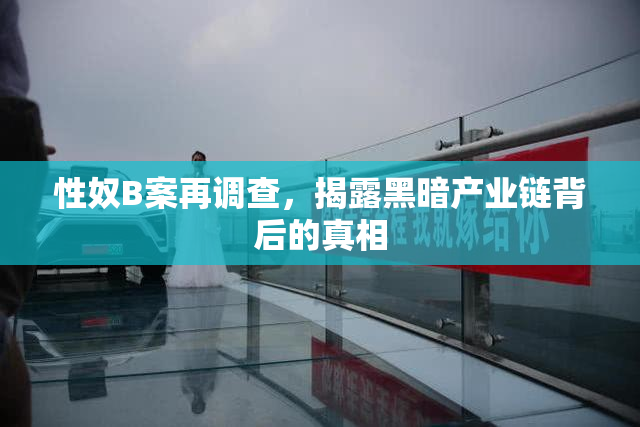 性奴B案再调查，揭露黑暗产业链背后的真相