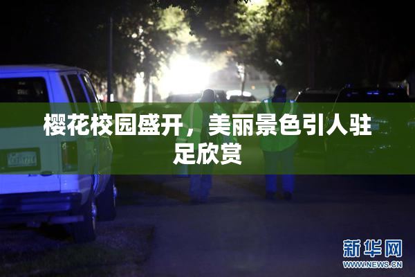 樱花校园盛开，美丽景色引人驻足欣赏