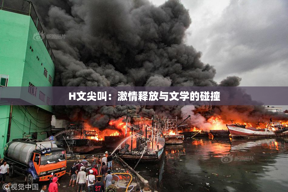 H文尖叫：激情释放与文学的碰撞