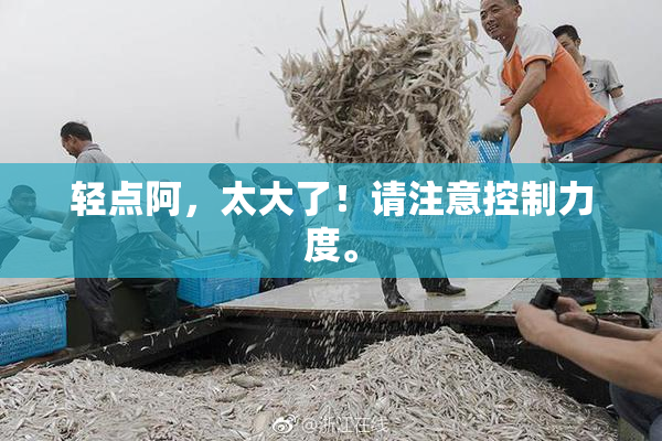 轻点阿，太大了！请注意控制力度。
