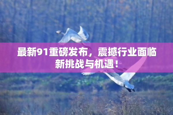 最新91重磅发布，震撼行业面临新挑战与机遇！