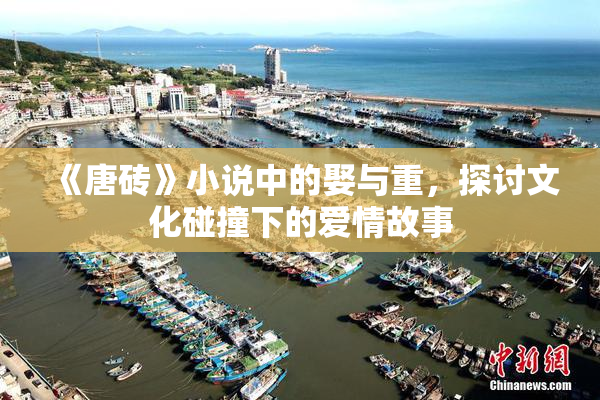 《唐砖》小说中的娶与重，探讨文化碰撞下的爱情故事