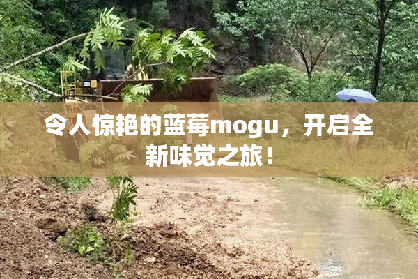 令人惊艳的蓝莓mogu，开启全新味觉之旅！