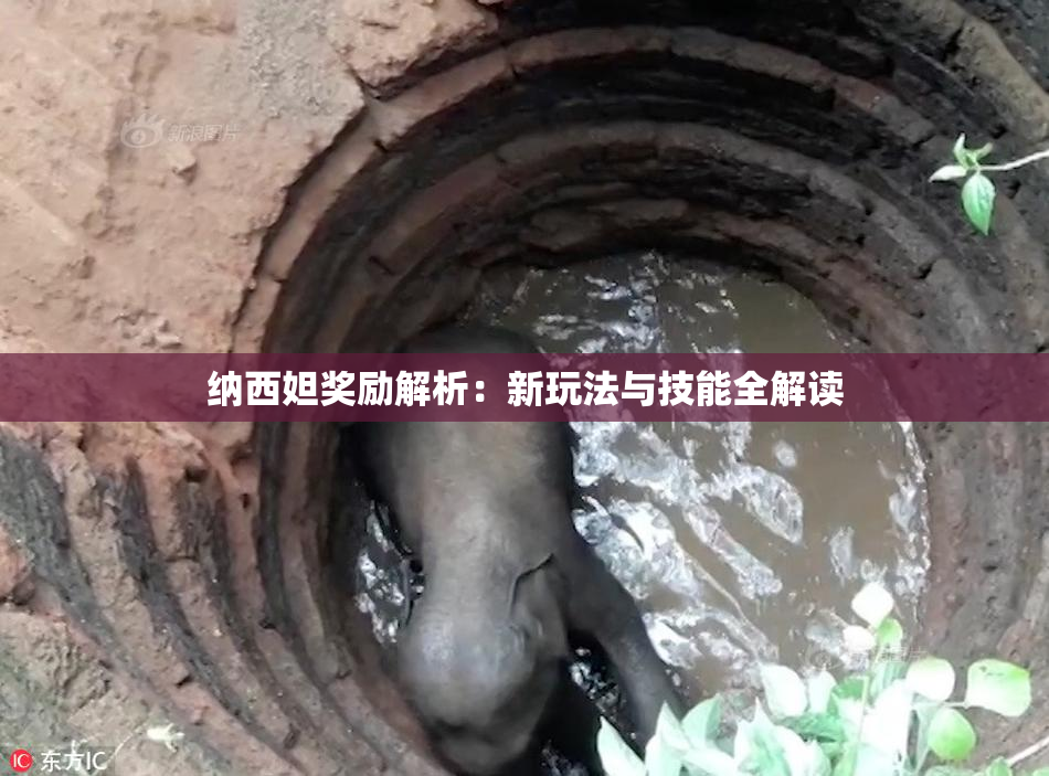 纳西妲奖励解析：新玩法与技能全解读