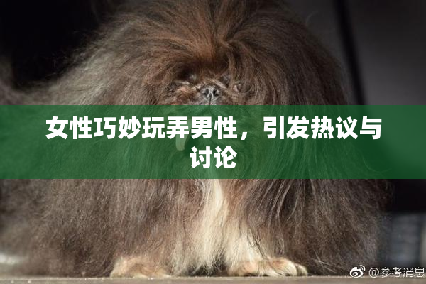 女性巧妙玩弄男性，引发热议与讨论
