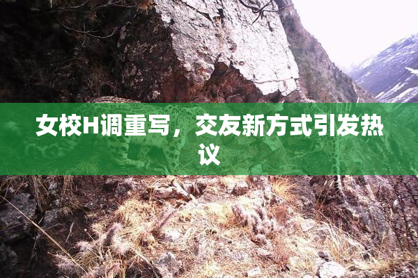 女校H调重写，交友新方式引发热议