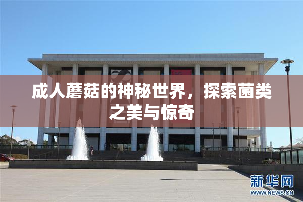 成人蘑菇的神秘世界，探索菌类之美与惊奇