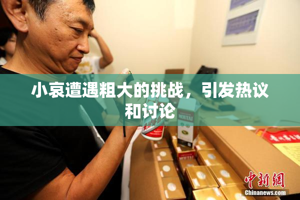 小哀遭遇粗大的挑战，引发热议和讨论
