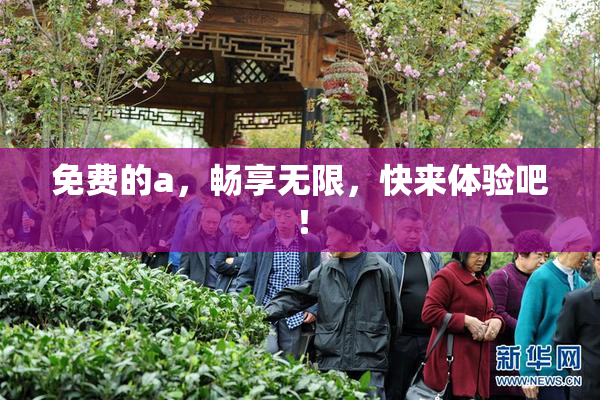 免费的a，畅享无限，快来体验吧！
