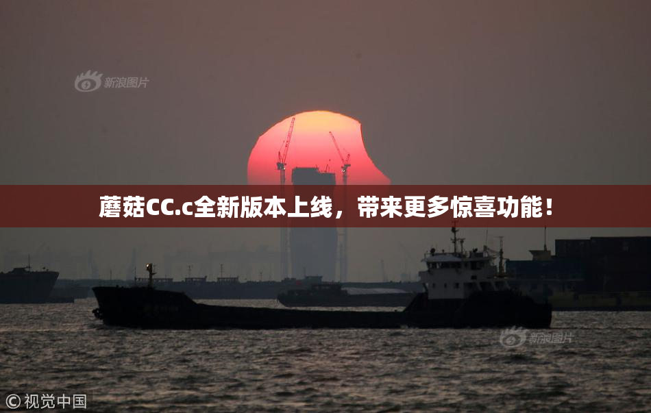 蘑菇CC.c全新版本上线，带来更多惊喜功能！