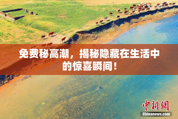 免费秘高潮，揭秘隐藏在生活中的惊喜瞬间！