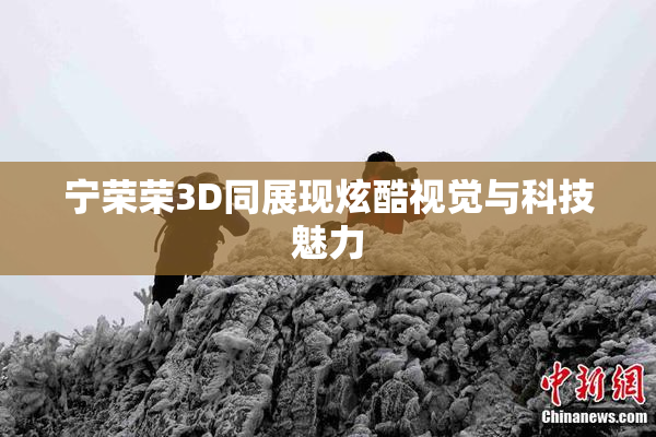 宁荣荣3D同展现炫酷视觉与科技魅力