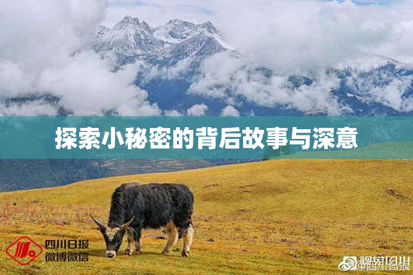 探索小秘密的背后故事与深意