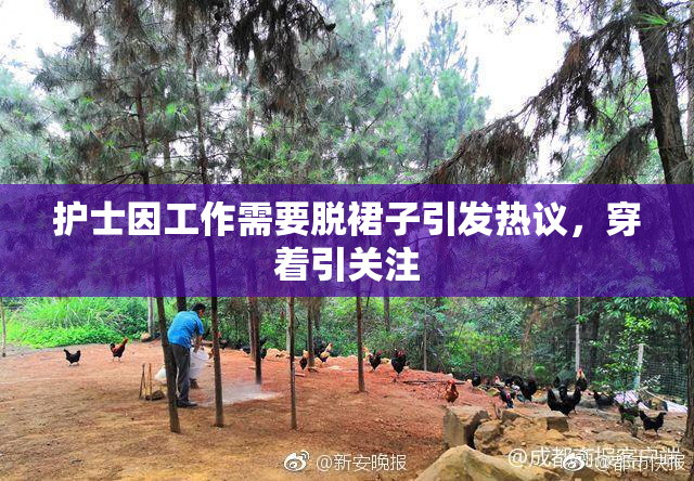 护士因工作需要脱裙子引发热议，穿着引关注