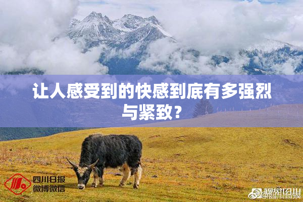 让人感受到的快感到底有多强烈与紧致？